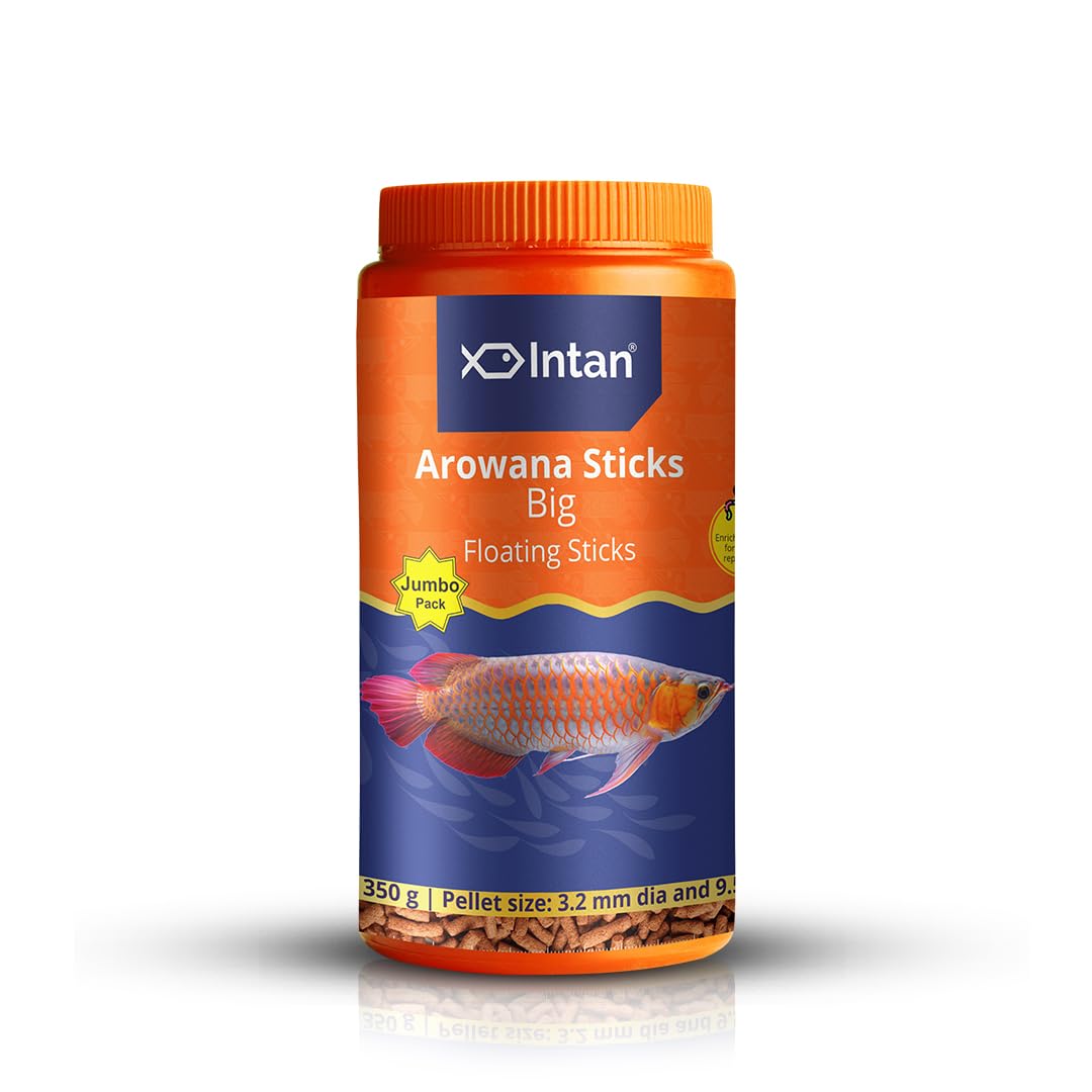 Arowana Fish Food – Big Floating Sticks