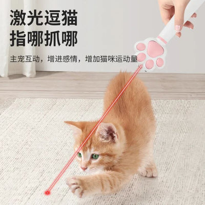 Laser Cat Teasing Stick