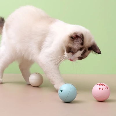 Three Color Glowing Nibbling Catnip Bell Ball Catnip Toy