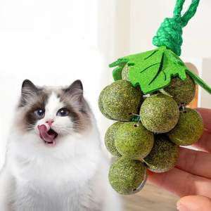 Grape Style Catnip