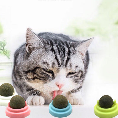 Cat Lick Catnip Ball