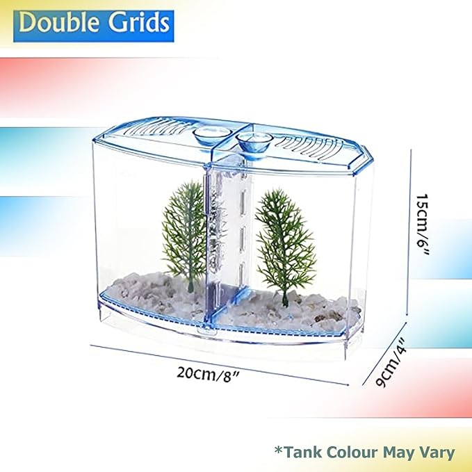 حوض سمك صغير من الأكريليك بيتا