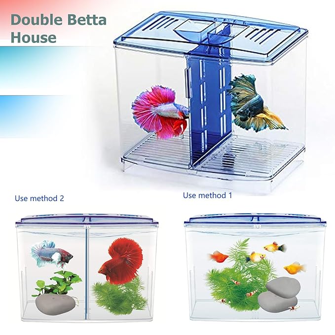 حوض سمك صغير من الأكريليك بيتا