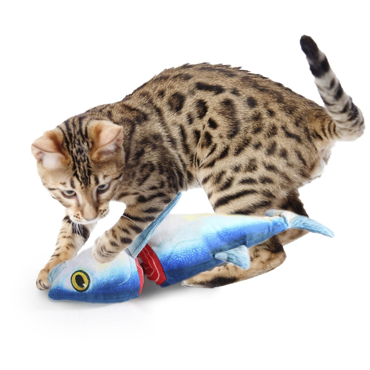 Catoon – Chopped Cuddler Plush Cat Toy