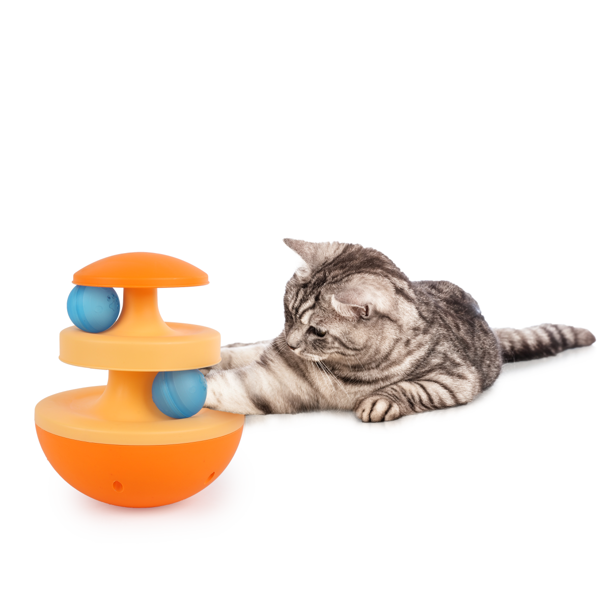 Modern Cat – Wobble Track'ball Cat Toy