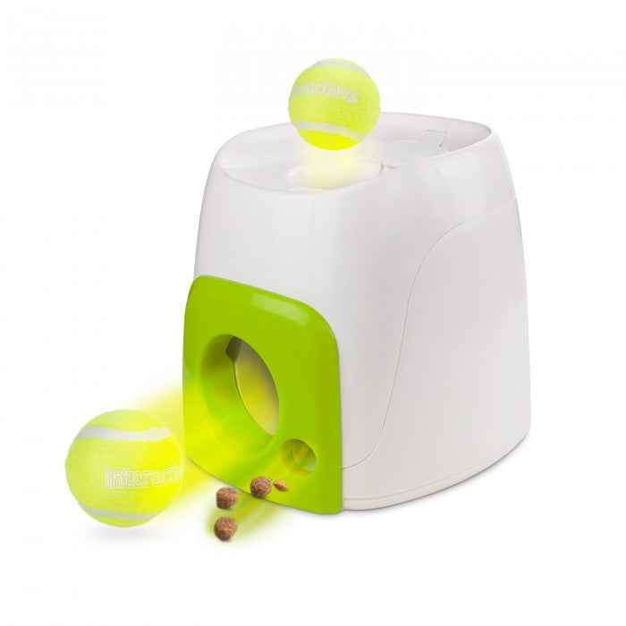 Interactive Fetch'N Treat – Fetch & Reward Dog Toy