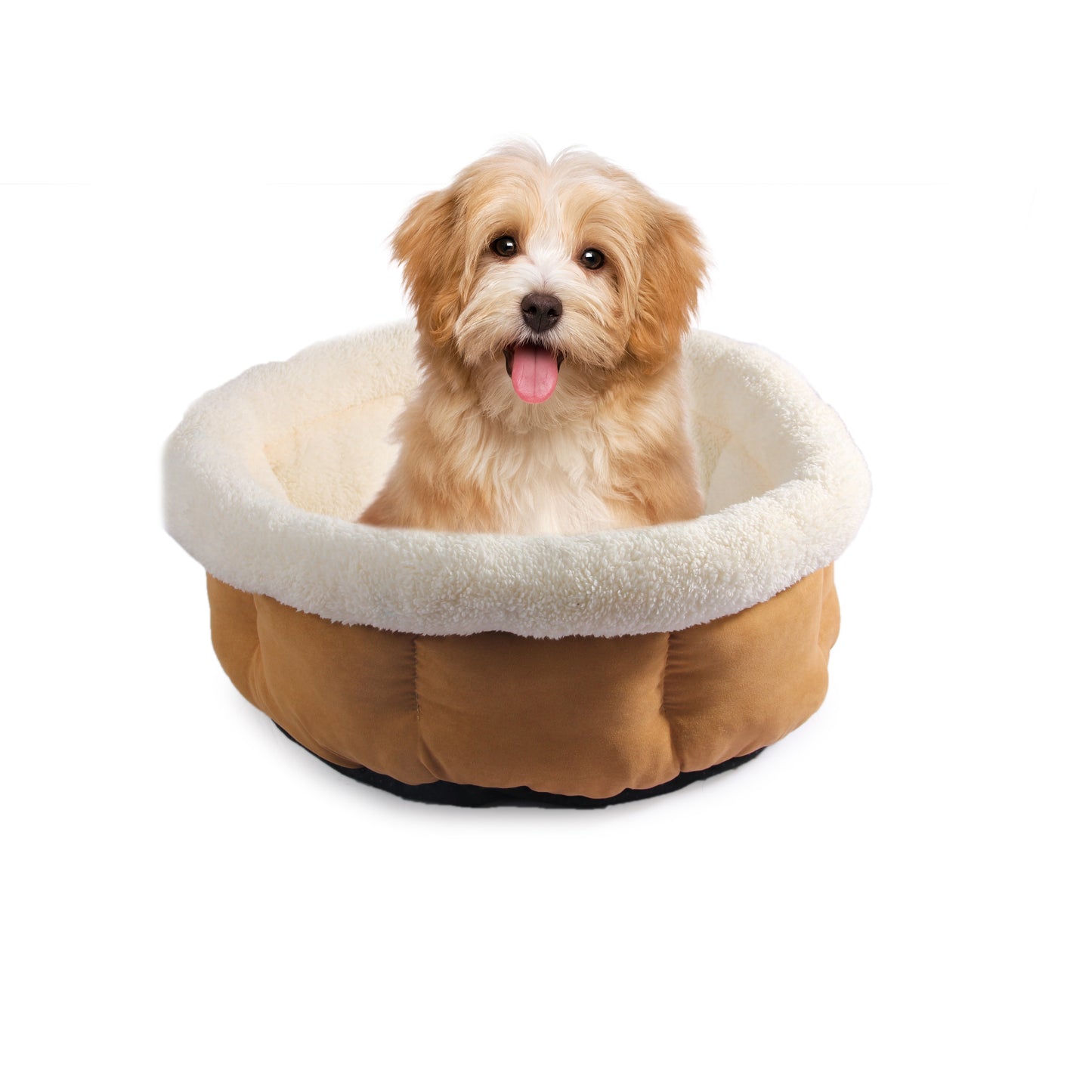 Cuddle Bed – Medium Size Calming Bed for Cats & Dogs