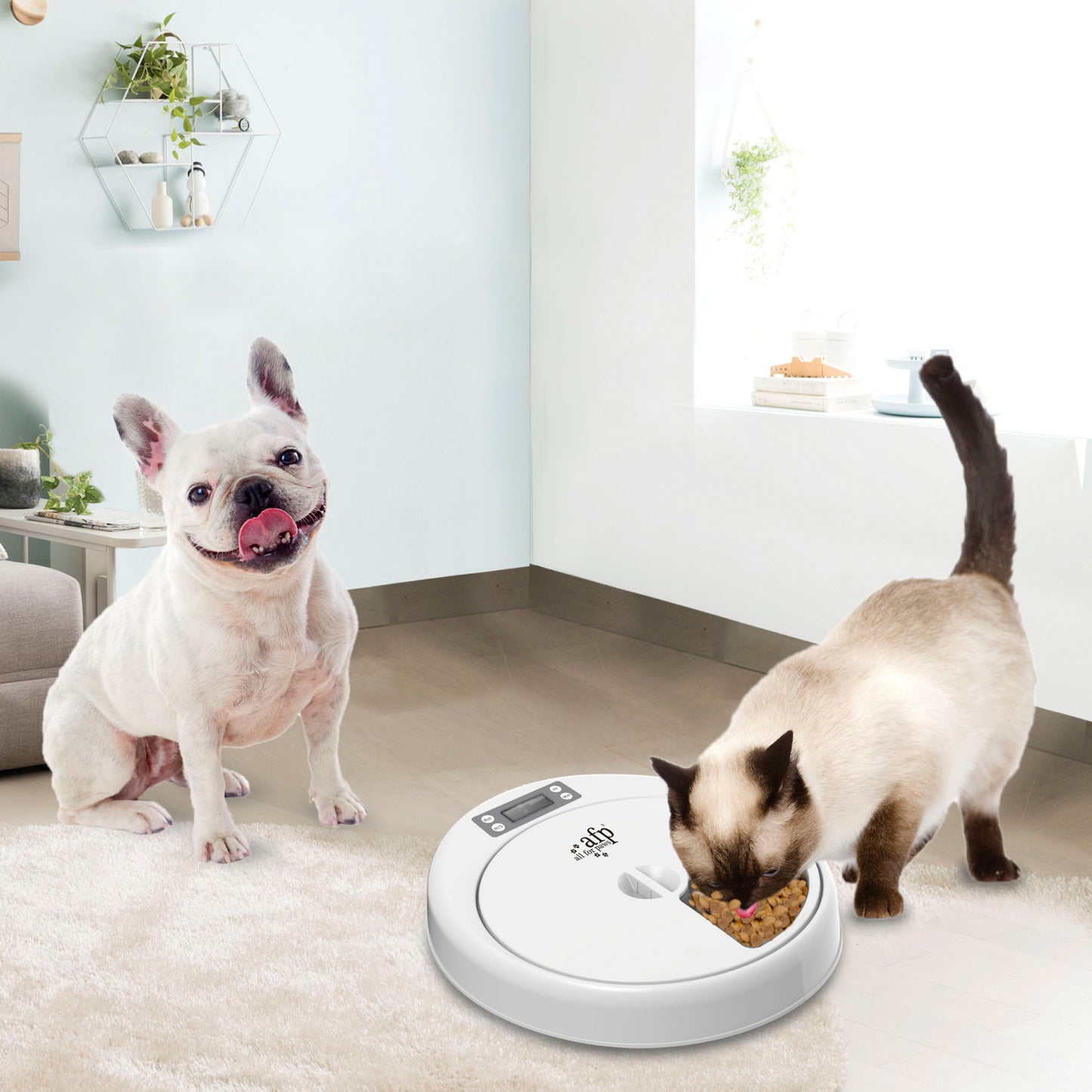 5-Meal Automatic Pet Feeder – Timed Food Dispenser