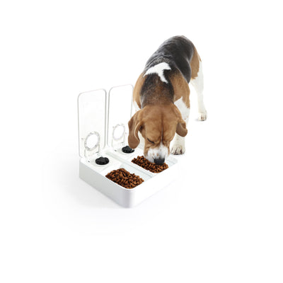 Double Timer Pet Feeder – 2-Meal Automatic Dispenser