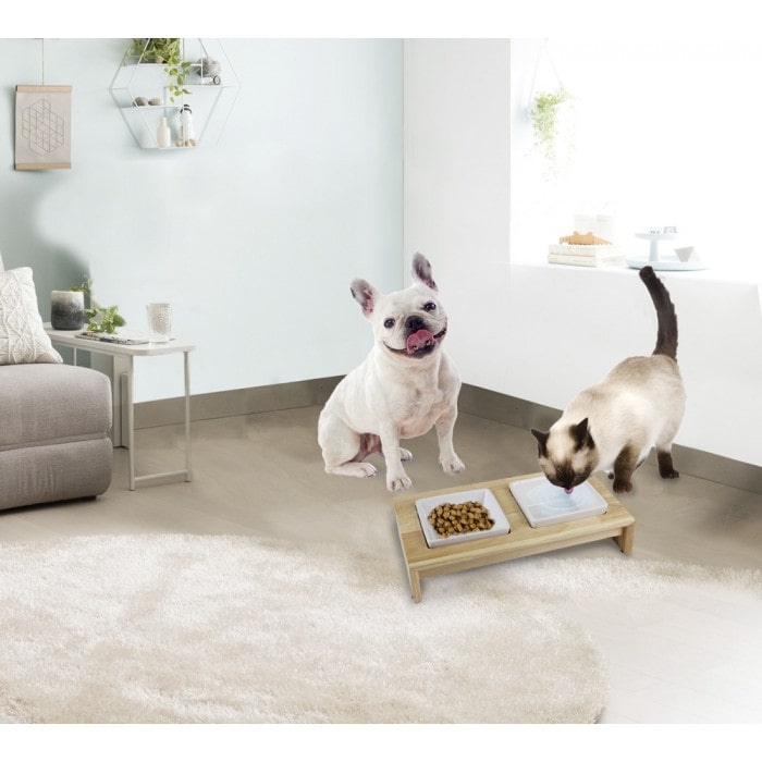 Double Dinner Pet Food Bowl – Dual Dish for Food & Water