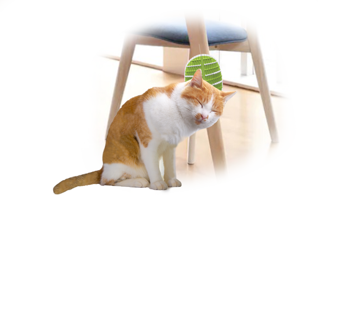 Lifestyle 4 Pets – 2 in 1 Groomer | Brush & Massager for Dogs & Cats
