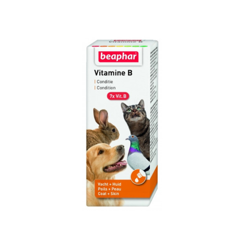Beaphar Vitamin B Complex – 50 ml | Supports Coat, Skin, and Nervous System