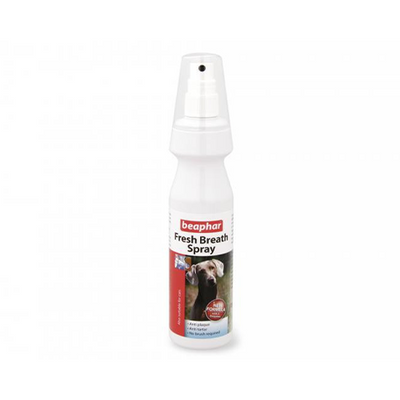 Fresh Breath Spray 150ml