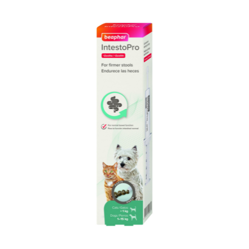 IntestoPro Anti Diarrhea Paste Syringe Small Dog & Cat 20ml