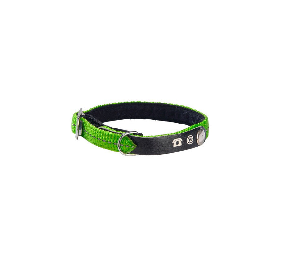 Lost Cat Collar