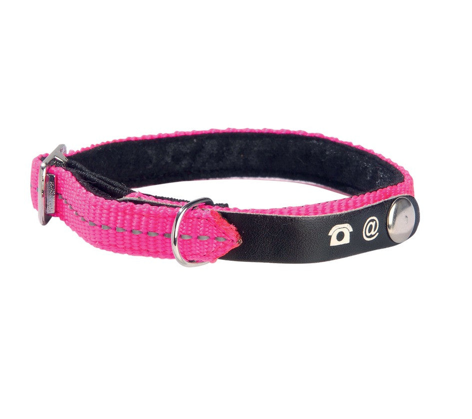 Lost Cat Collar