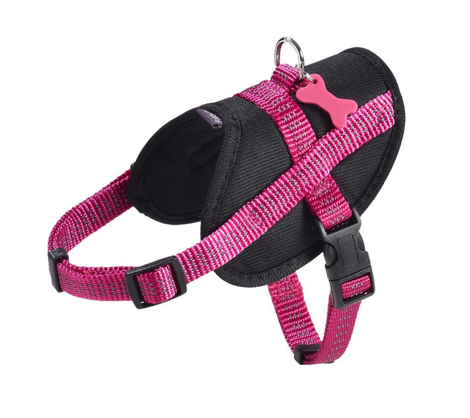 Easy Safe Harness - Fuschia