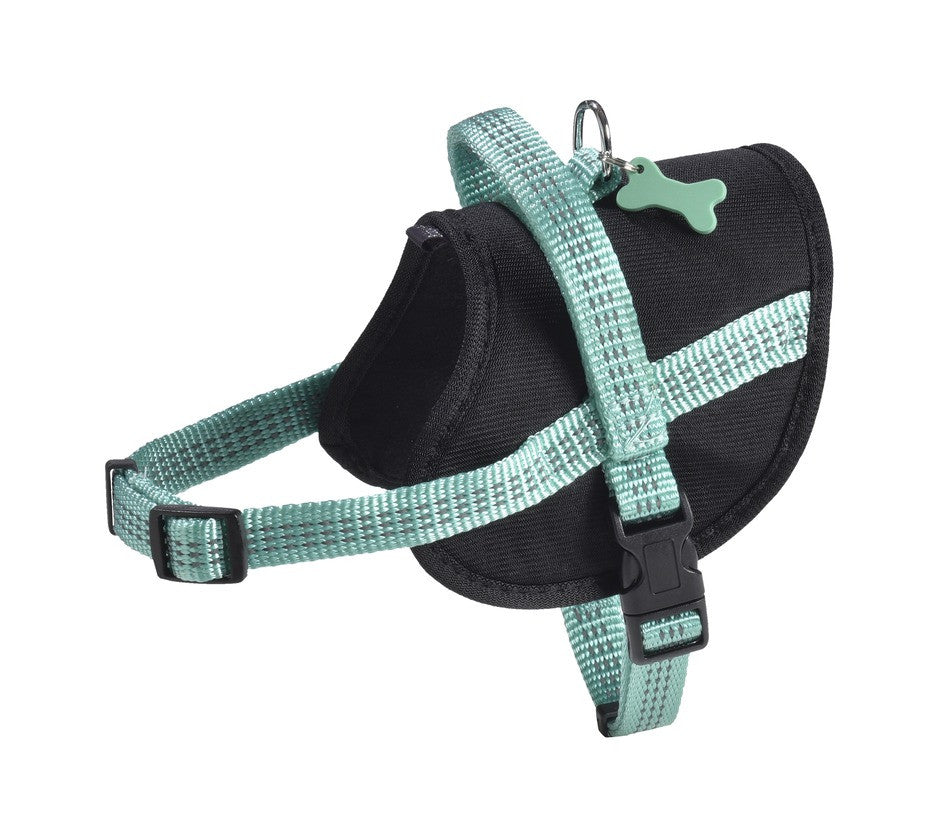 Easy Safe Harness - Lagon