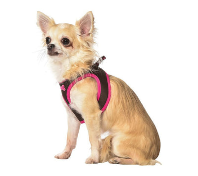 Arlequin Mini Harness - Brown