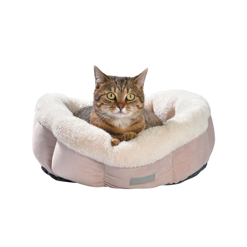 Boheme Nest