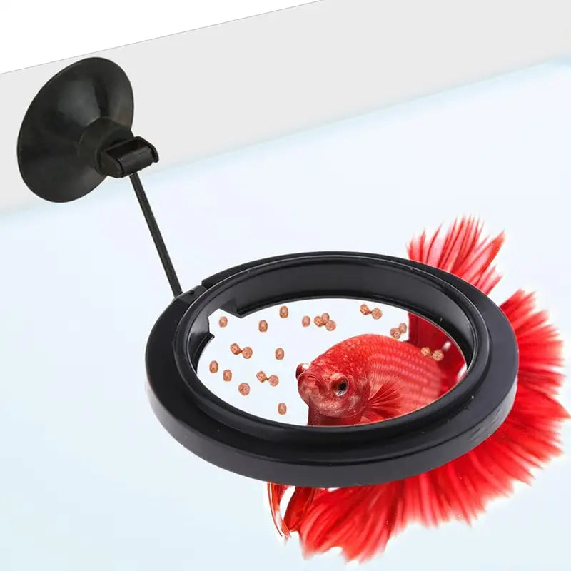 Feeding Ring - Round black