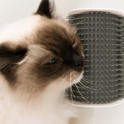 Catit Senses 2.0 Self Groomer