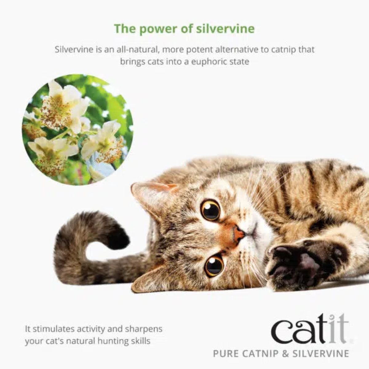 Catit Dried Catnip & Silvervine Mix – 28g