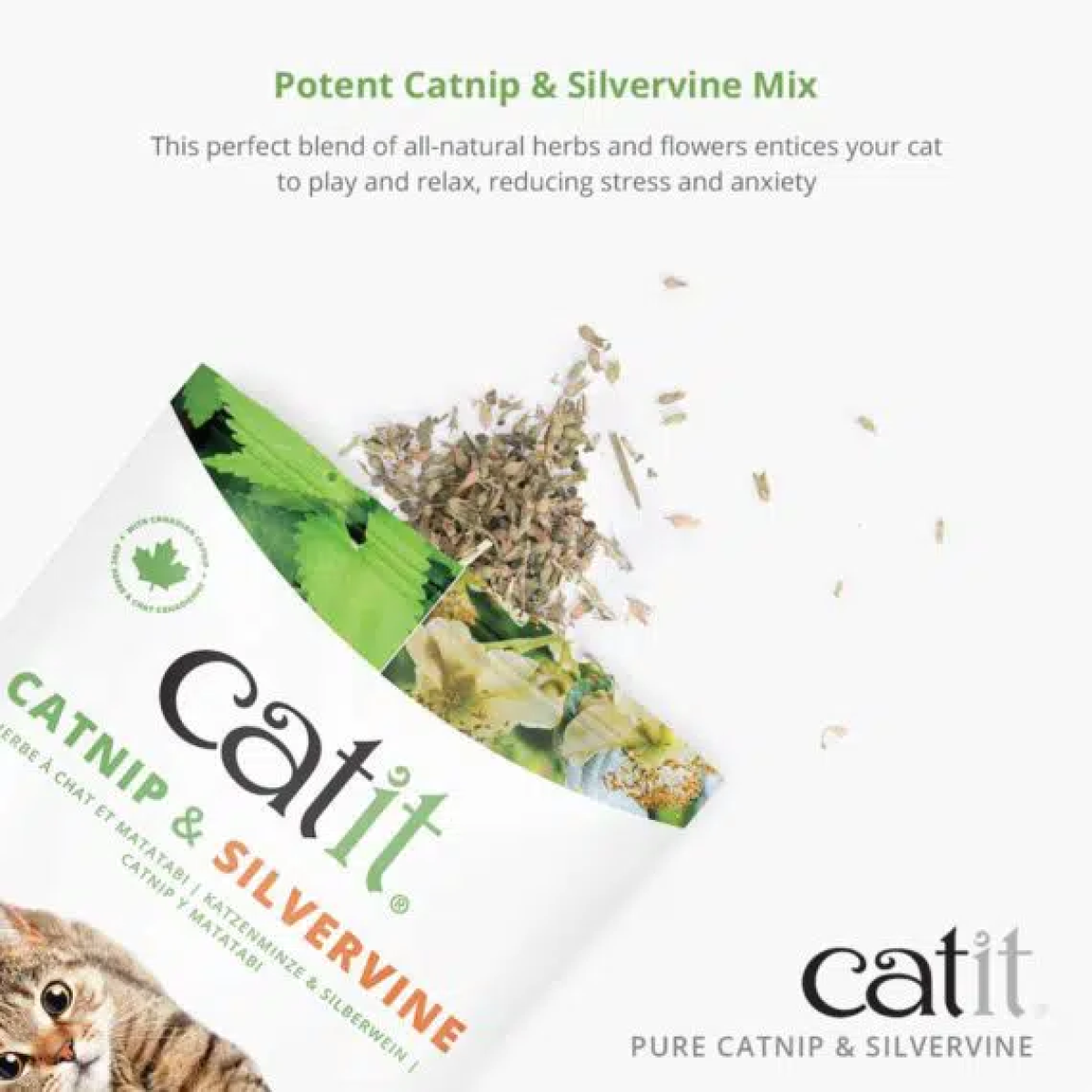 Catit Dried Catnip & Silvervine Mix – 28g