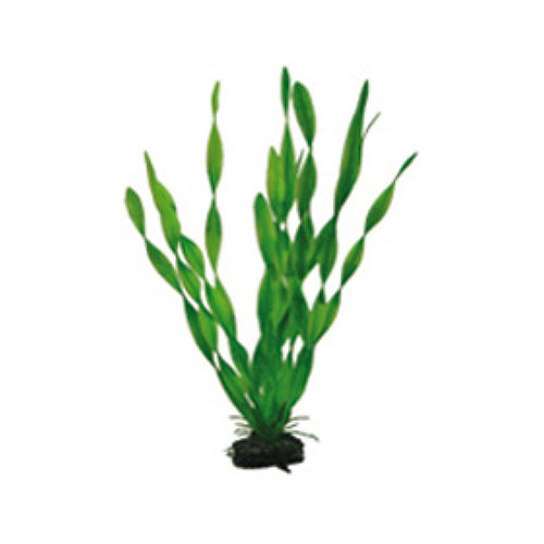 Artificial Plant - Vallisneria 34 cm