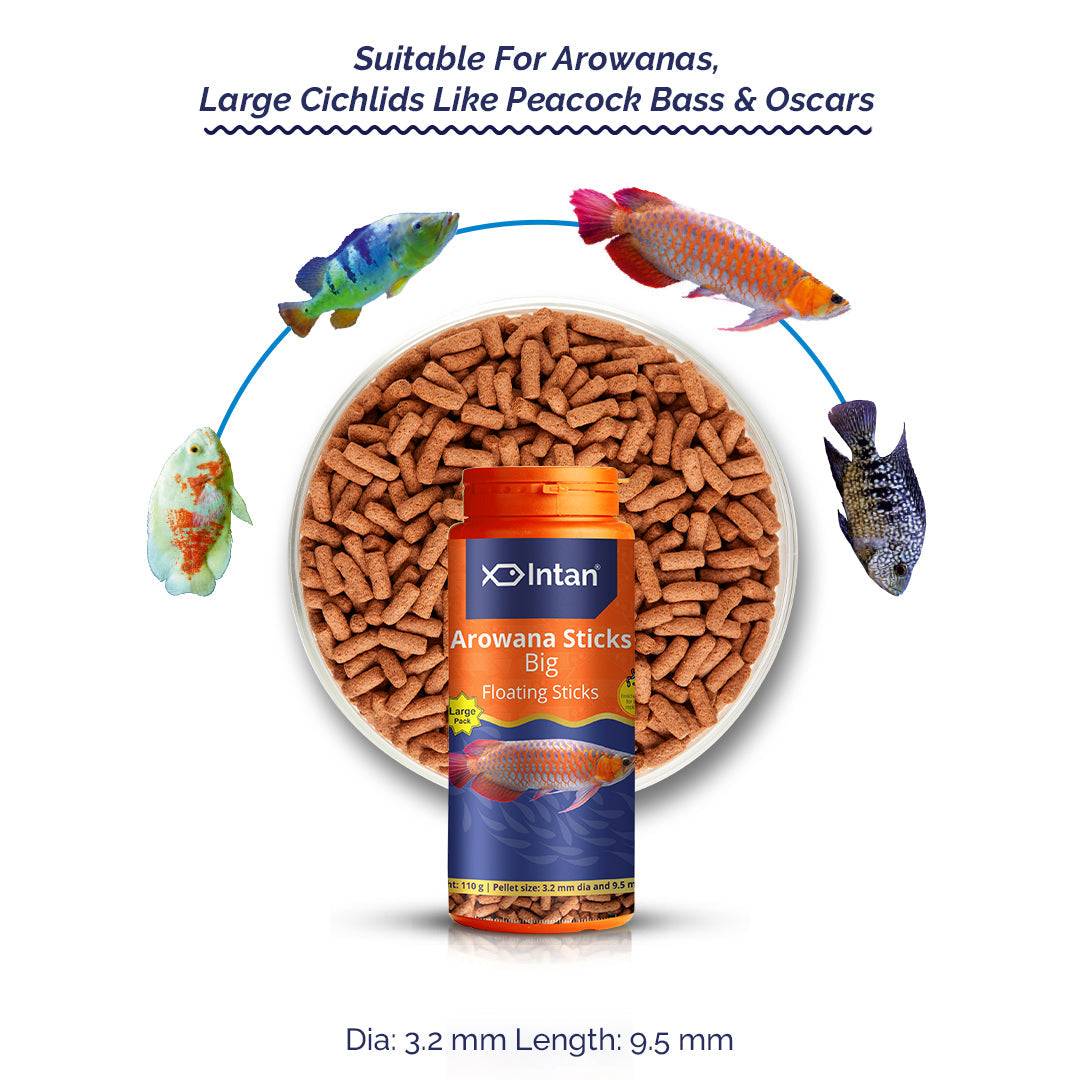 Arowana Fish Food – Big Floating Sticks
