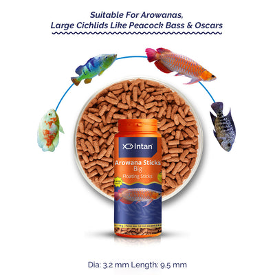 Arowana Fish Food – Big Floating Sticks