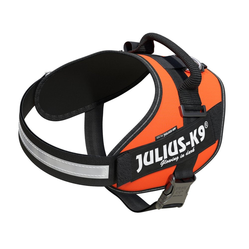 IDC High Visibility Powerharness - UV Orange