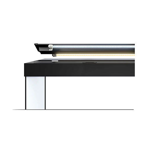 RIO 125 LED - Grey