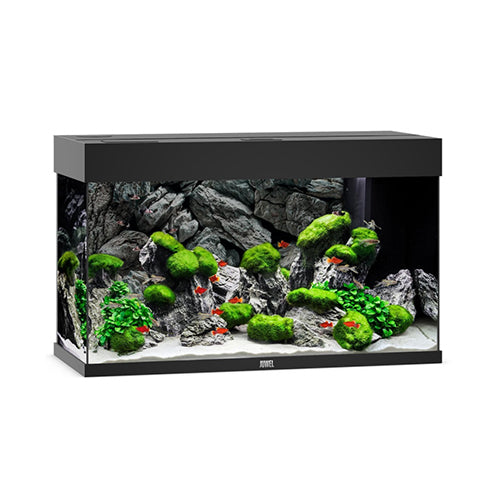 RIO 125 LED - Black