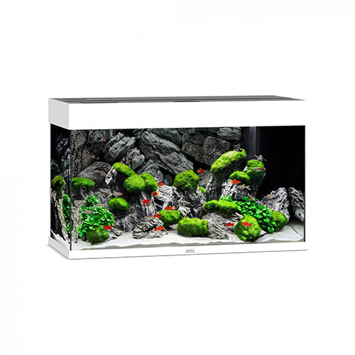 RIO 125 LED - White