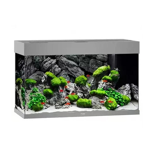 RIO 125 LED - Grey