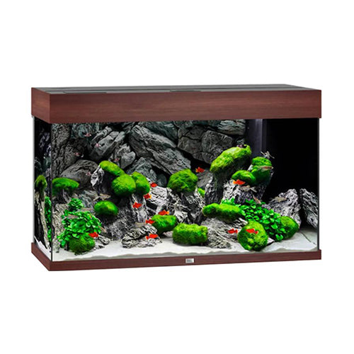 RIO 125 LED - Dark Wood