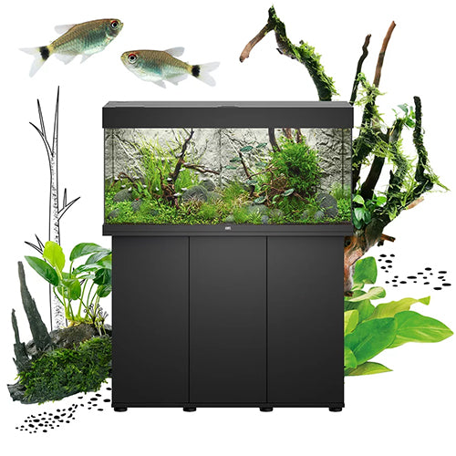Rio 180 LED - Black