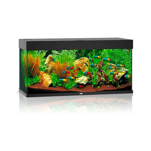 Rio 180 LED - Black