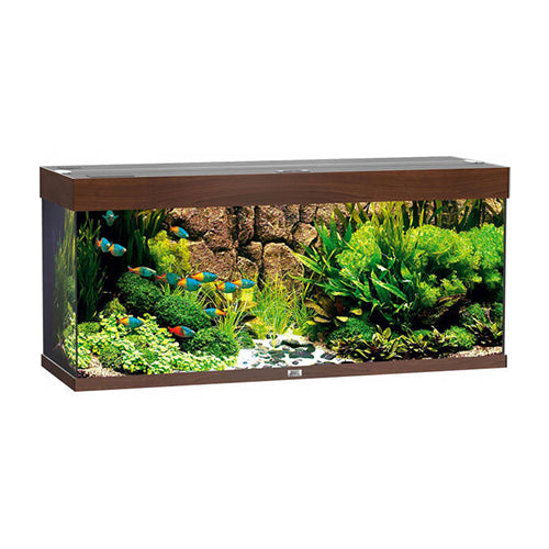 Rio 180 LED - Dark Wood