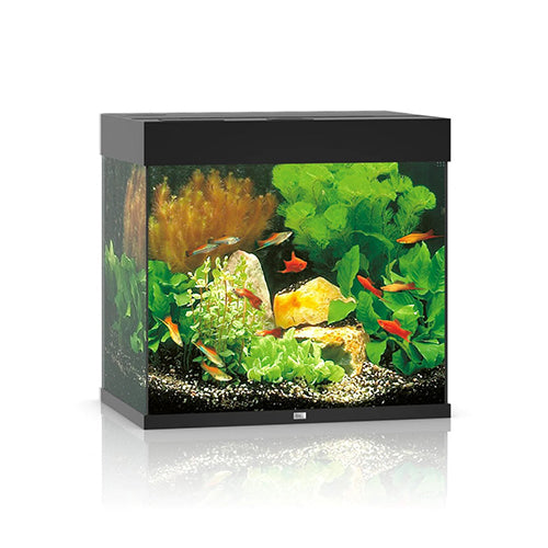 Lido 200 LED - Black