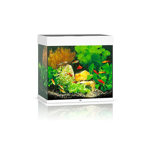 Lido 120 LED - White