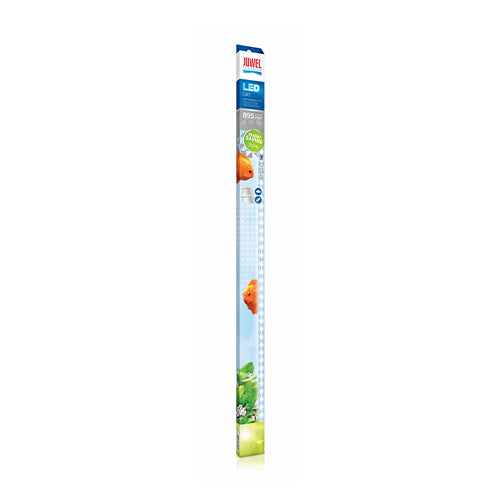 LED Day Tube Light