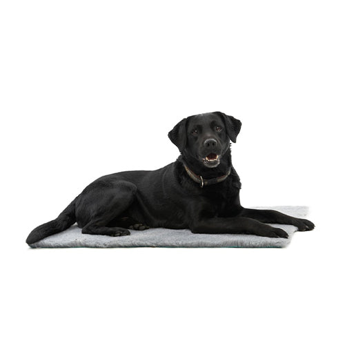 Kruuse Vet Bed Grey