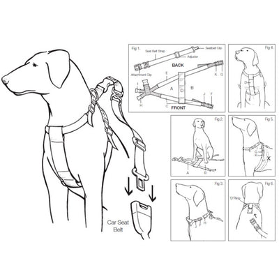 Car Harness