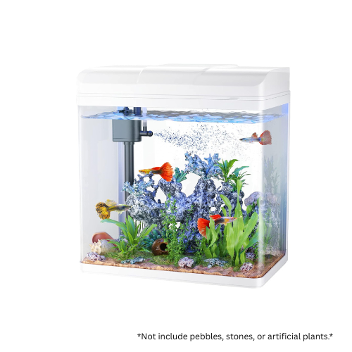 PF-285 Glass Aquarium with LED Light & Filter – 13L