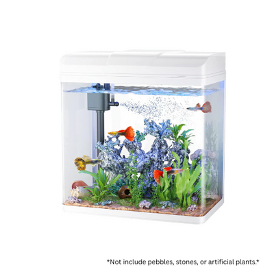 PF-285 Glass Aquarium with LED Light & Filter – 13L