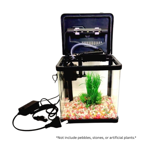 PY-200 Curved Glass Aquarium with LED Light & Filter – 6L