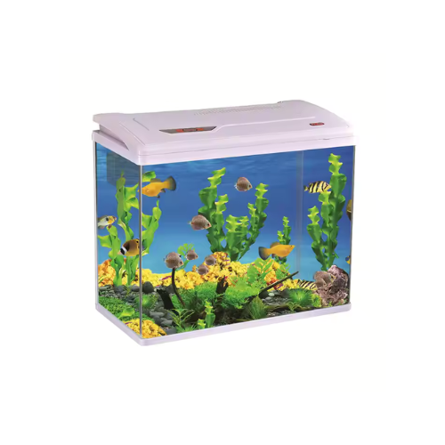PY-380 Curved Glass Aquarium with LED Light & Filter – 24L
