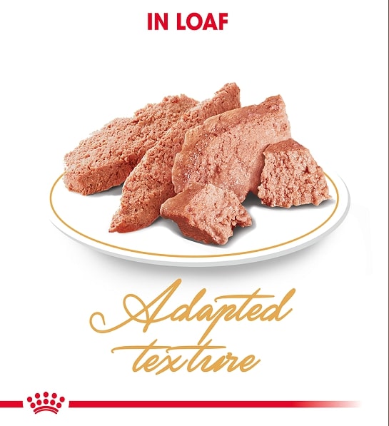 Feline Breed Nutrition Persian Wet Food - 85g
